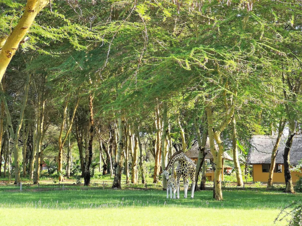 Africa Safari Camping Mto Wa Mbu Exterior photo